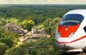 Tren Maya, estudios de impacto ambiental aprobados por Semarnat: Albores