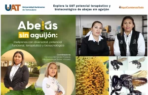 Explora la UAT potencial terapéutico y biotecnológico de abejas sin aguijón