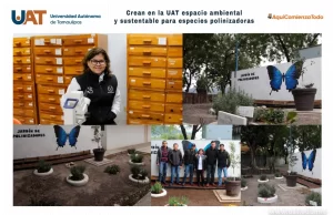 Crean en la UAT espacio ambiental y sustentable para especies polinizadoras