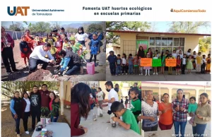 Fomenta UAT huertos ecológicos en escuelas primarias