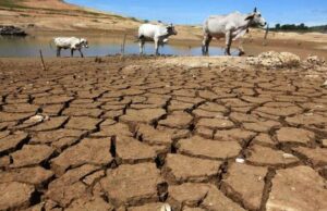 Alerta mundial: la ONU advierte que “El Niño” provocará temperaturas extremas