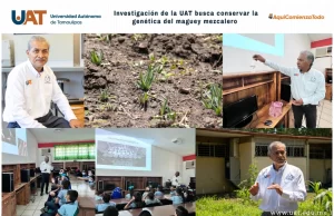 Investigación de la UAT busca conservar lagenética del maguey mezcalero