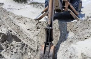 Golpe de calor y estrés matan a cocodrilo en Madero Tamaulipas