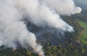 Combaten incendio forestal en “El Cielo” en Tamaulipas