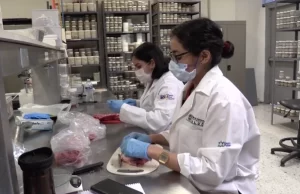 Participará la UAT en proyectos con universidades de Estados Unidos