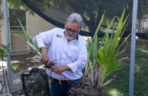 Promueve UAT el cultivo y conservación de orquídeas