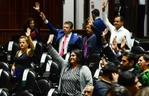 Los cuatro dictámenes sobre derechos indígenas, edad de jubilación, atención médica y protección animal serían aprobados en la siguiente legislatura.
