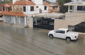 🐊 ¡Sorpresa bajo la lluvia! Cocodrilo de dos metros aparece en calles de Ciudad Madero