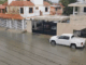 🐊 ¡Sorpresa bajo la lluvia! Cocodrilo de dos metros aparece en calles de Ciudad Madero