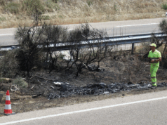 Tragedia en el fútbol: Fallece Diogo Jota en un accidente automovilístico