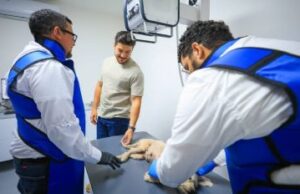 Samuel García advierte: “Quien maltrate a un animal en Nuevo León, irá a la cárcel”