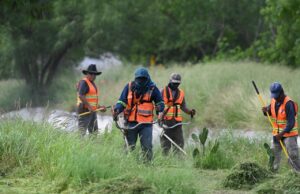 Supervisa alcalde trabajos de limpieza en vialidades