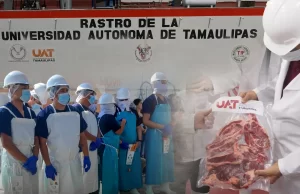 Rastro TIF de la UAT producirá carne para el mercado internacional
