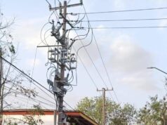 Activa Municipio operativo de limpieza y prevención por fuertes vientos en Victoria.