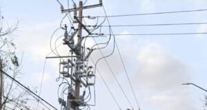 Activa Municipio operativo de limpieza y prevención por fuertes vientos en Victoria.