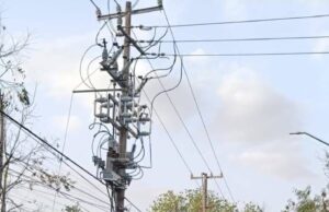 Activa Municipio operativo de limpieza y prevención por fuertes vientos en Victoria.